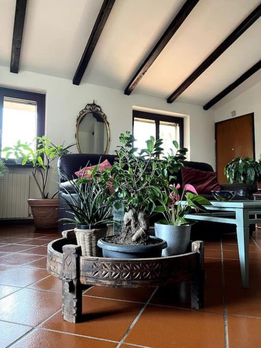 Apartment In Villa La Carruba Rivergaro Kültér fotó